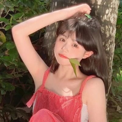 驯龙物语果盘版下载
